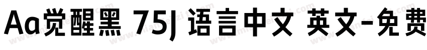 Aa觉醒黑 75J 语言中文 英文字体转换